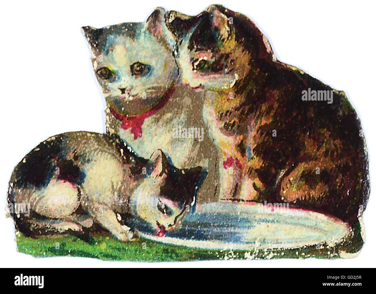 Kitsch Souvenir Tirages Brillants Chats Avec Une Assiette De Lait Chromolithographe Fin Du Xixe Siecle Photo De Livre D Autographes Photo D Album De Famille Animaux Animal Boisson Kitsch Hokum Chat Chats Assiette