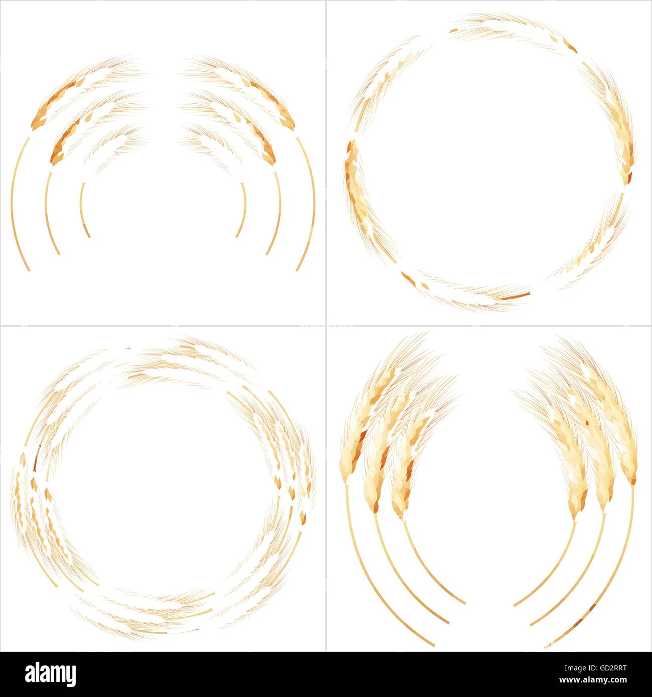 Ensemble de 4 épis de blé détaillées. EPS 10 Illustration de Vecteur