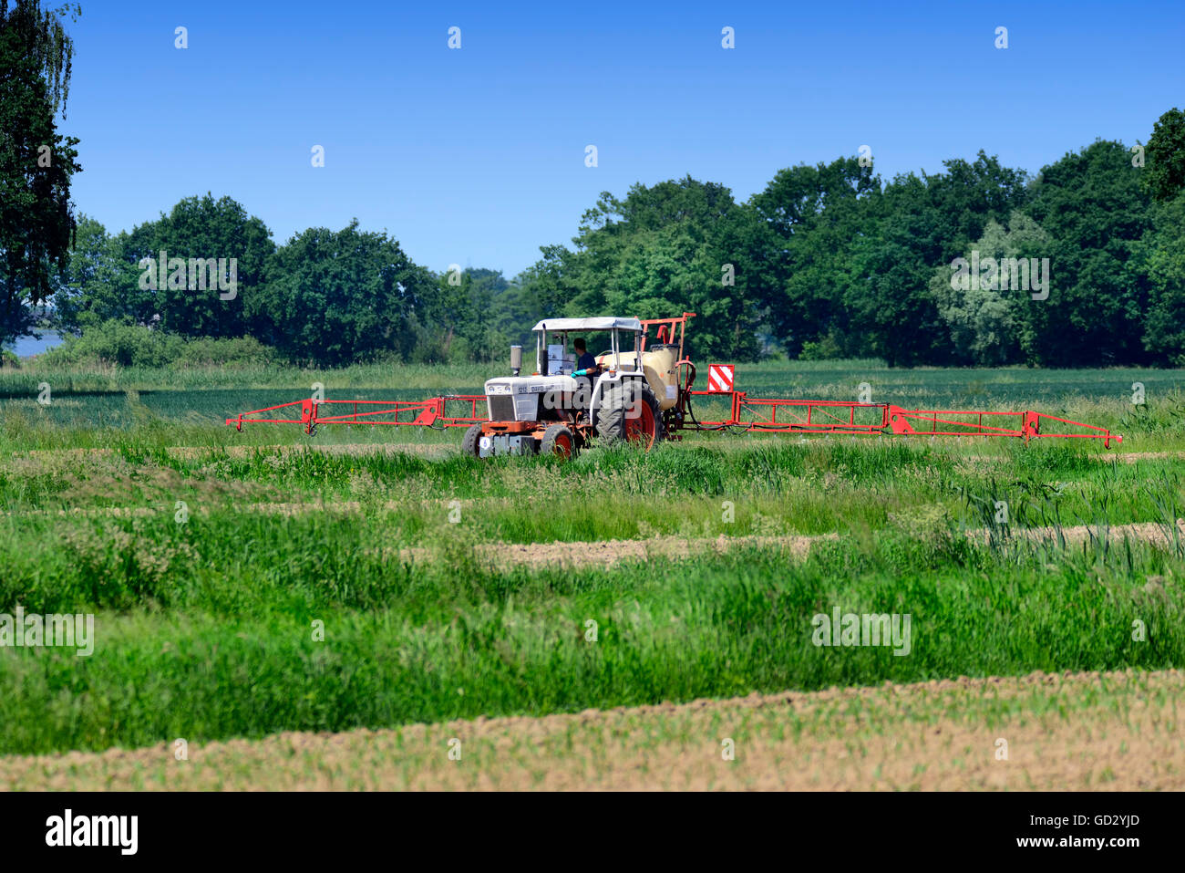 Le tracteur la pulvérisation de pesticides sur un champ Banque D'Images