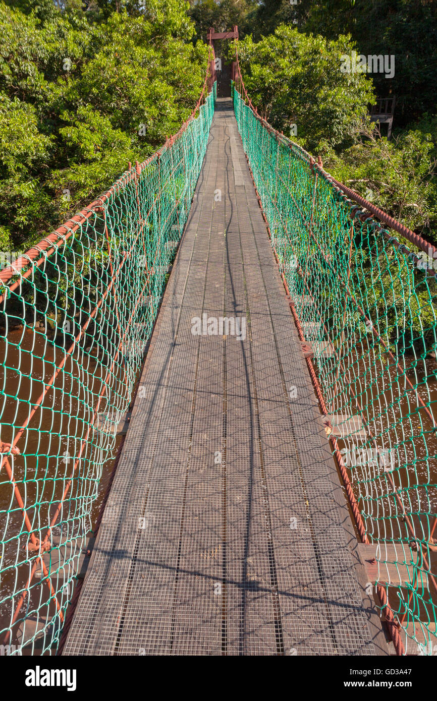 Pour les marcheurs, pont suspendu sur la rivière Maliau Maliau, Sabah, Bornéo rainforest Banque D'Images