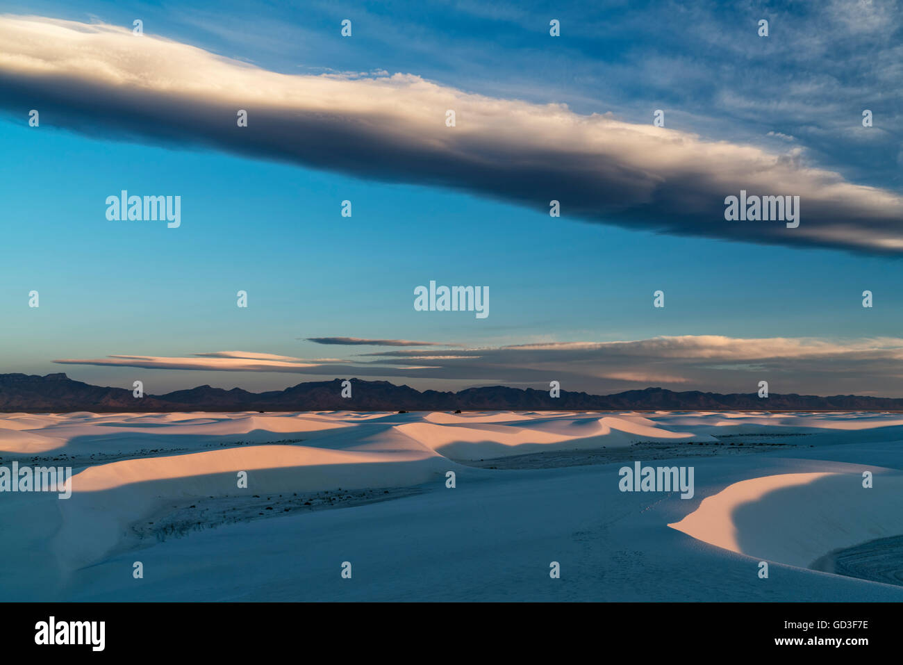 La première lumière sur les dunes de sable du désert Banque D'Images