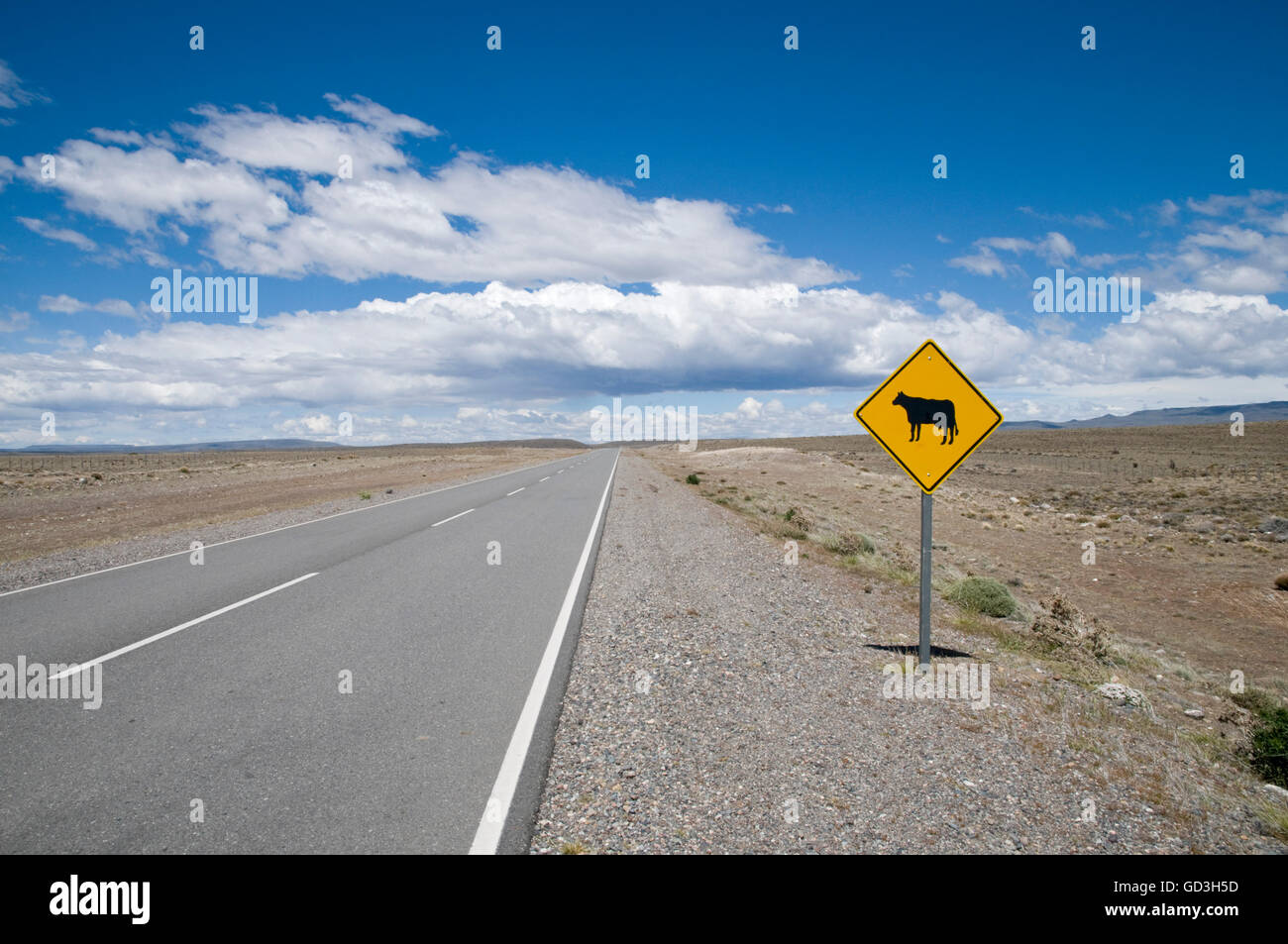 Signe de circulation routière sur la ruta nacional 40, attention, les animaux de pâturage, Santa Cruz, en Patagonie, Argentine Banque D'Images