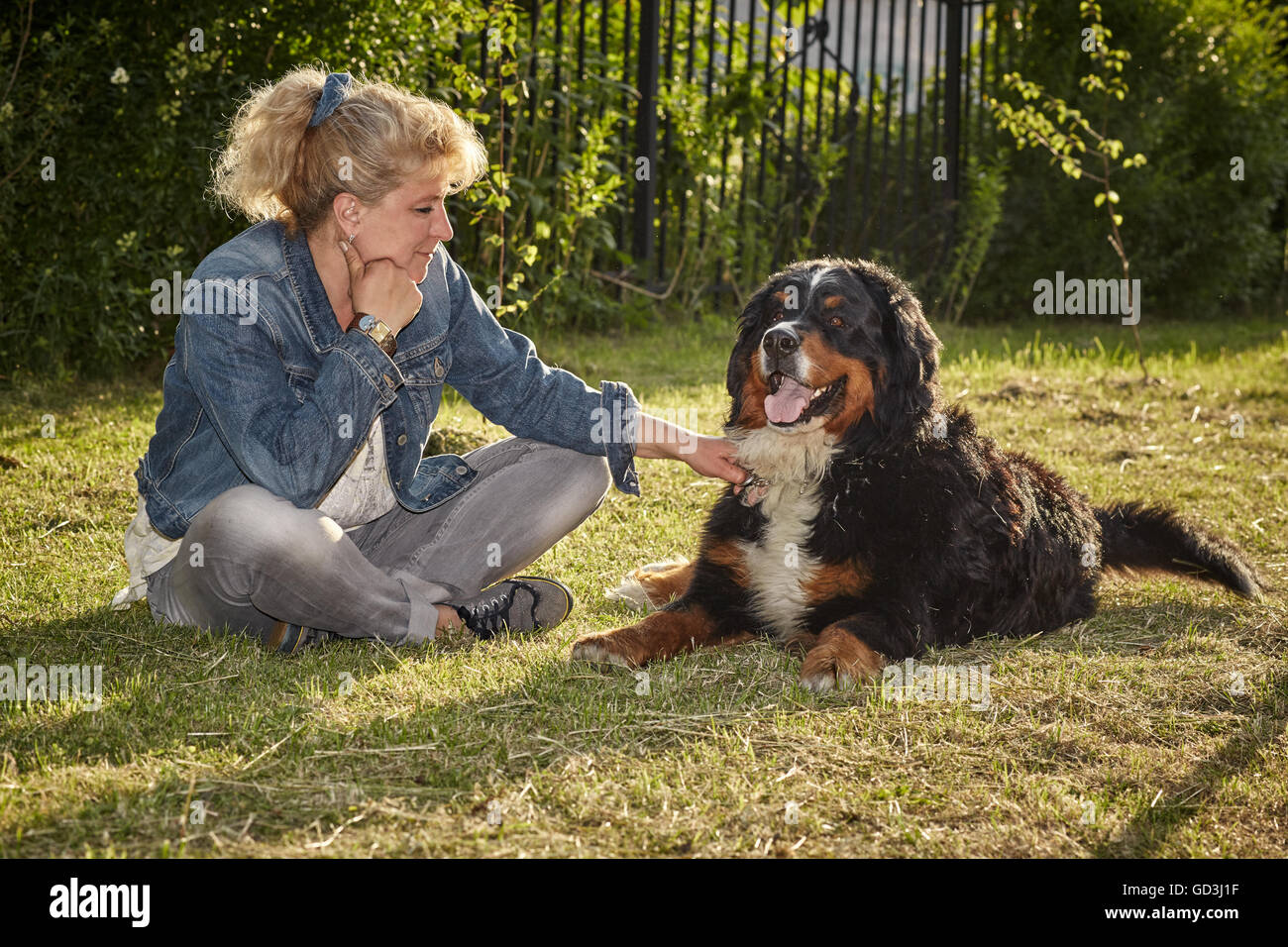Femme mature avec son bernois Banque D'Images