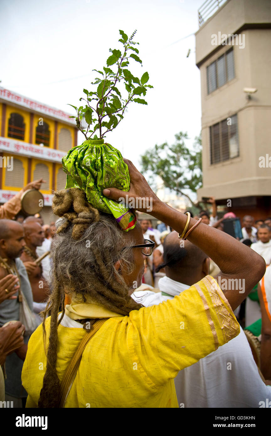 Saint pèlerin effectuer sur la tête de l'usine de tulsi, Nasik, Maharashtra, Inde, Asie Banque D'Images