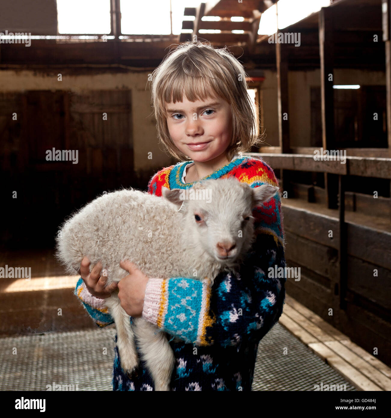 Jeune fille tenant un jeune agneau, de Borgarfjordur, Islande Banque D'Images