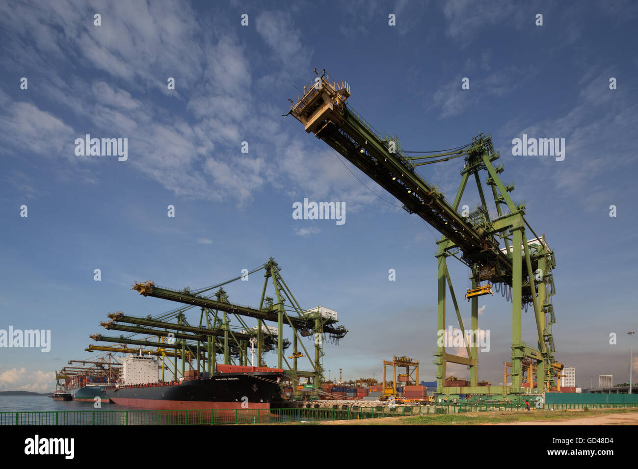 Vue entière des grues à conteneurs dans le rang et les navires en fonctionnement à l'un des terminaux portuaires. Singapour. Banque D'Images