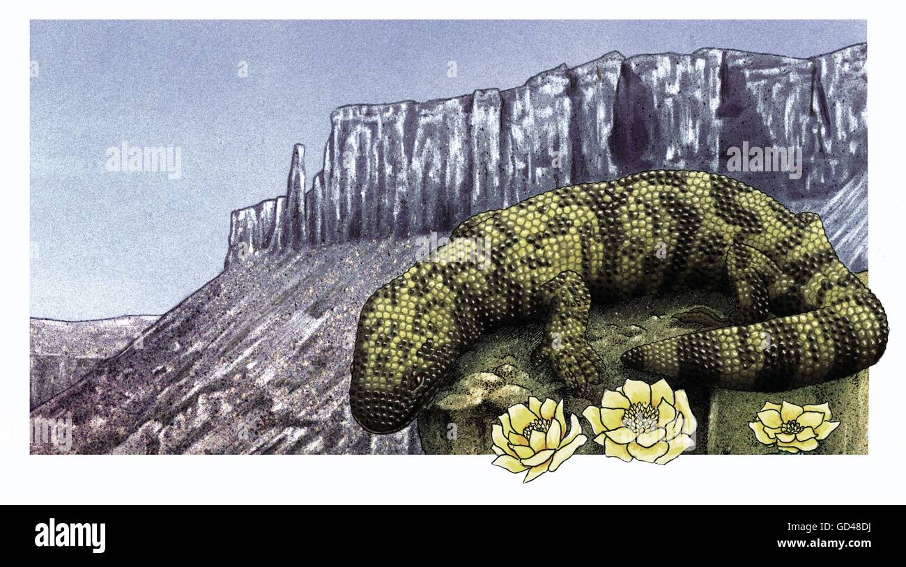 Arbre généalogique étendu sur la salamandre stamp Banque D'Images