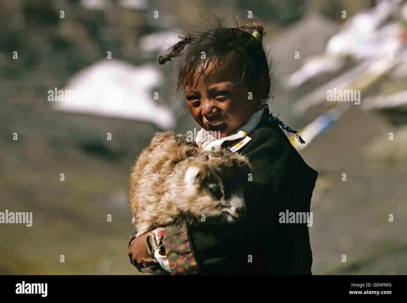 Fille avec un mouton Banque D'Images