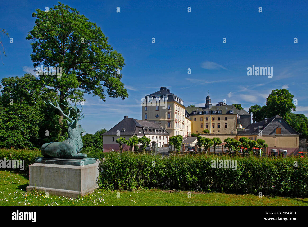 Château de Wittgenstein, internat pour garçons et filles, high school, école secondaire privée, équitation, Bad Laasphe, district de Düren, Rhénanie du Nord-Westphalie, Allemagne Banque D'Images