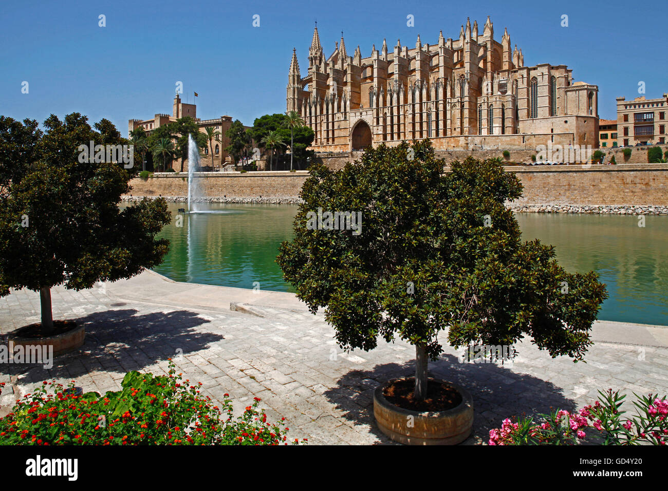 L'Almudaina et cathédrale de Palma de Majorque, Îles Baléares, Espagne Banque D'Images