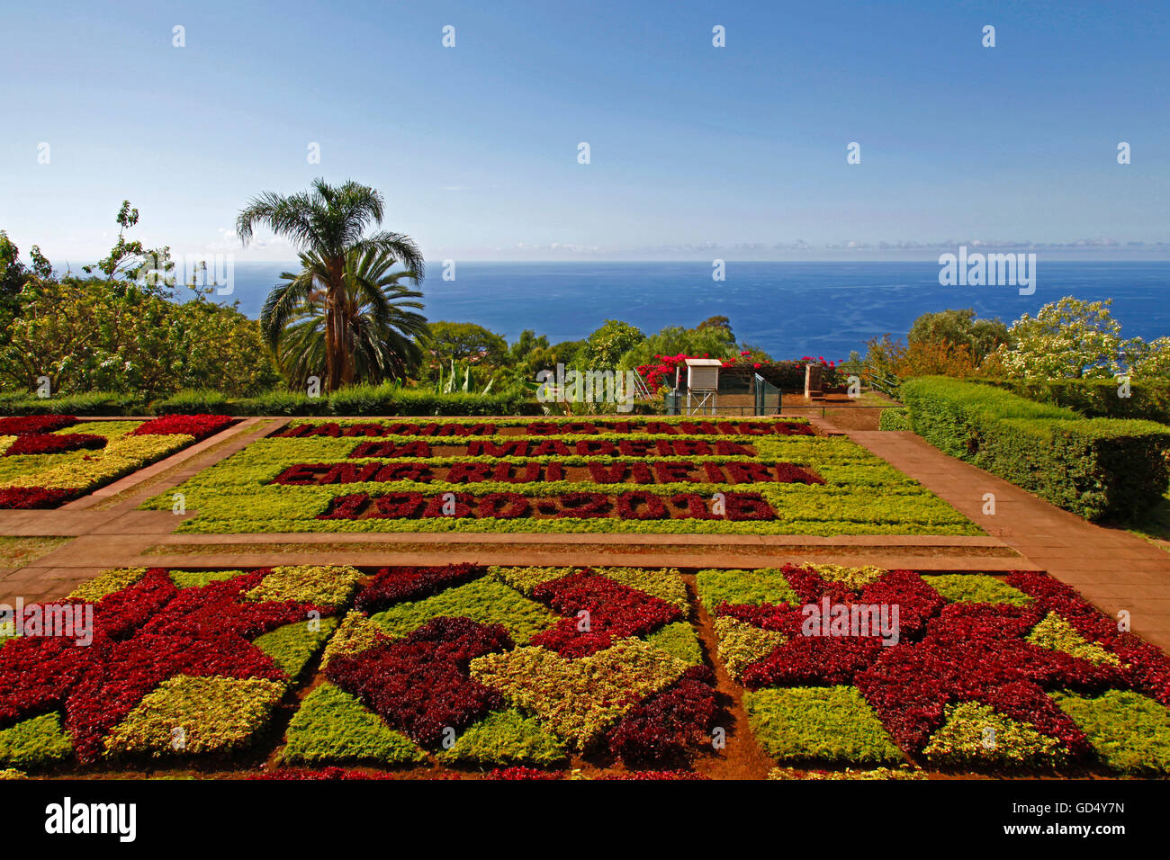 Jardin botanique, Jardim Botanico, Funchal, île de Madère, Portugal Banque D'Images