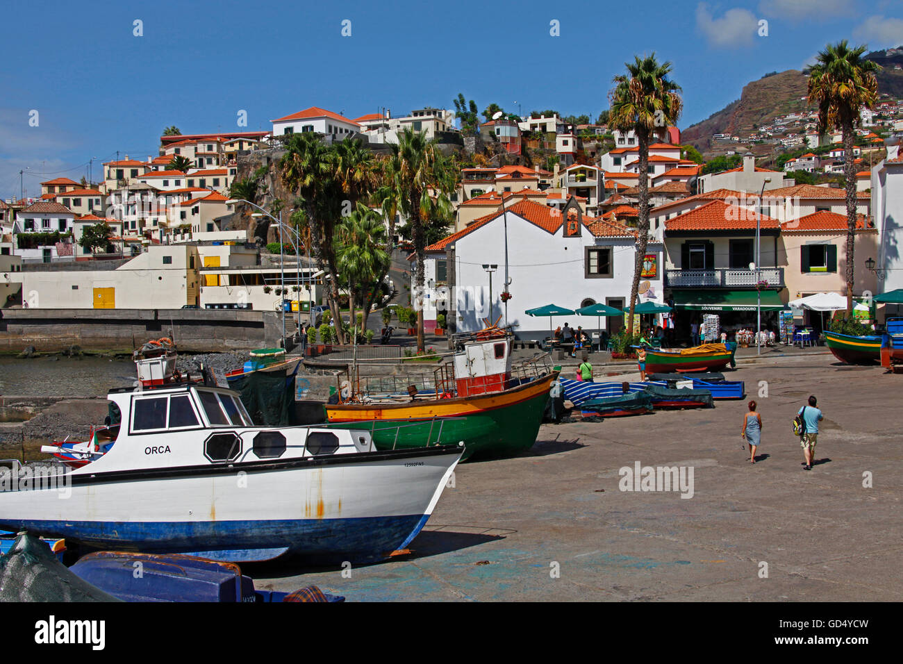 Village de pêcheurs Camara de Lobos, l'océan Atlantique, l'île de Madère, Portugal Banque D'Images