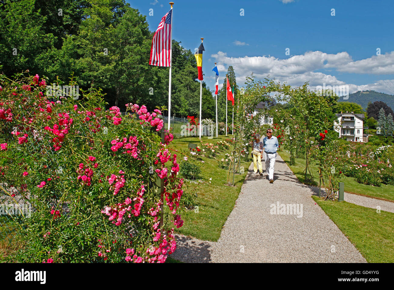 Jardin de roses, Rosengarten, Beutig, Moltkestrasse, Baden-Baden, Bade-Wurtemberg, Allemagne Banque D'Images