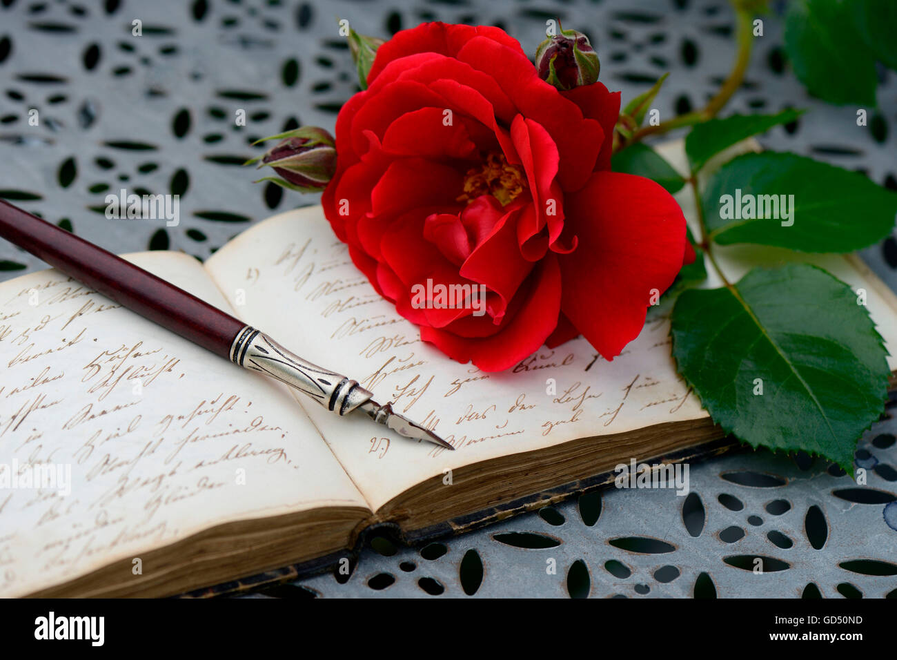 Federhalter auf Buch mit alter Schrift, rote Rose, Handschrift Banque D'Images