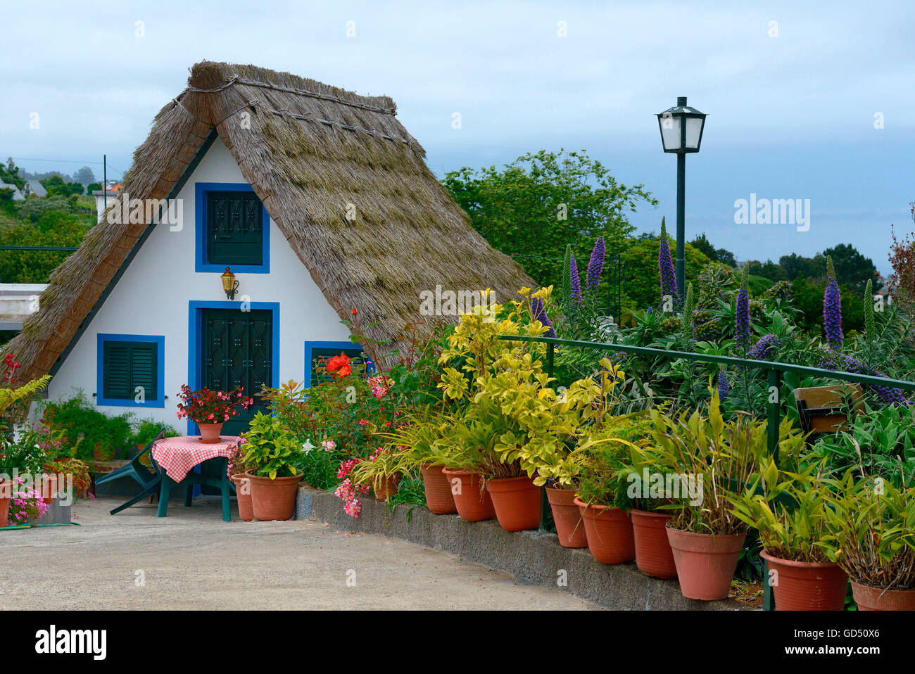 Strohgedecktes Haus à Santana, Madeira, Portugal, Europa, Casas de Colmo Santana-Haus Santana-Haeuser,, Banque D'Images