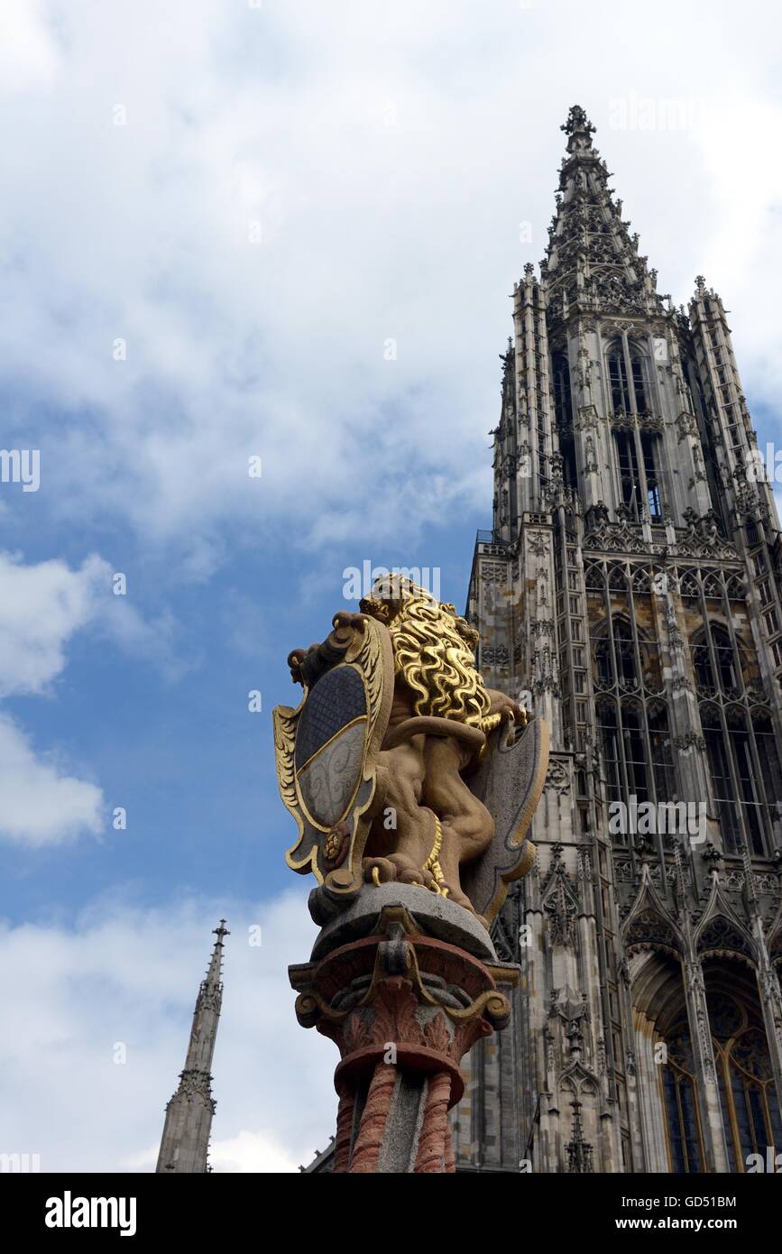 Loewenbrunnen vor Ulmer Münster, Muensterplatz, Ulm, Bade-Wurtemberg, Deutschland, Europa, Münsterplatz, Löwenbrunnen Banque D'Images