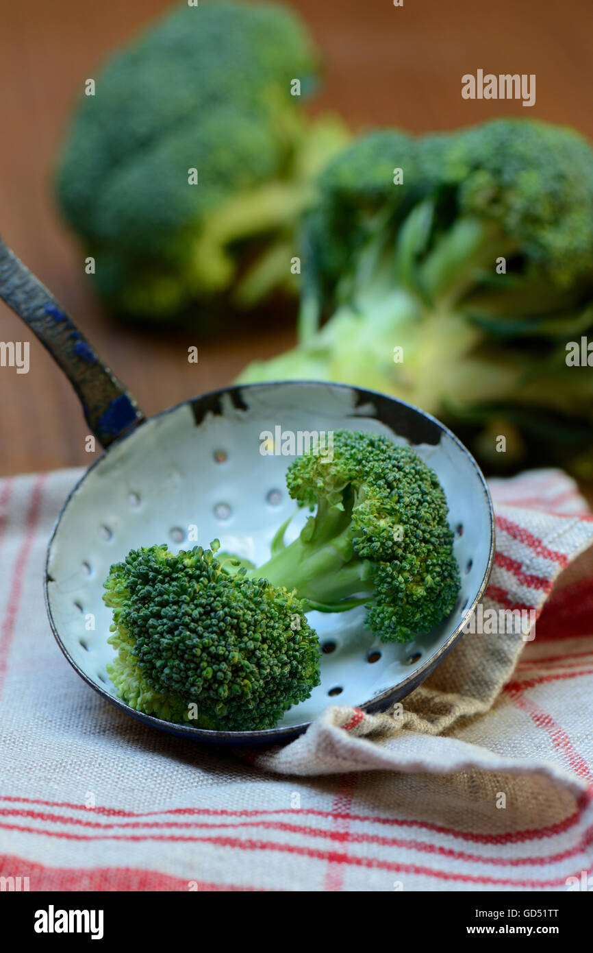 Dans Brokkoliroeschen Kuechenkelle, Brassica oleraceae var. italica Banque D'Images