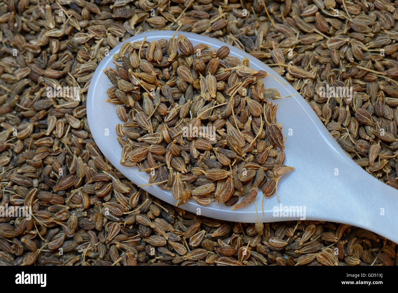 Dans Anissamen Loeffel, Pimpinella anisum Banque D'Images