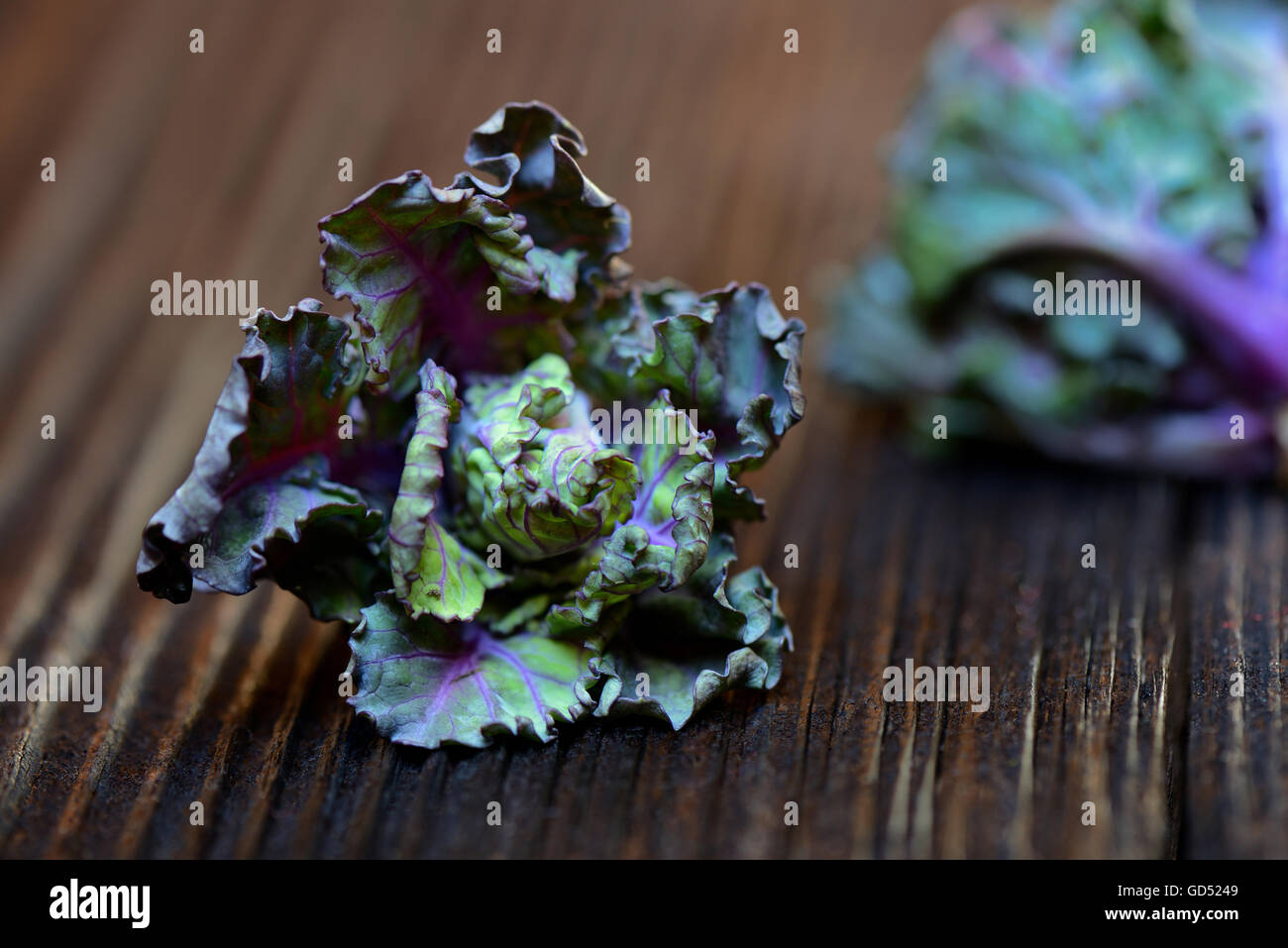 Les choux fleurs, Kohlroeschen Kohlröschen Blumensprossen,,, Kreuzung aus Rosenkohl und Gruenkohl Banque D'Images