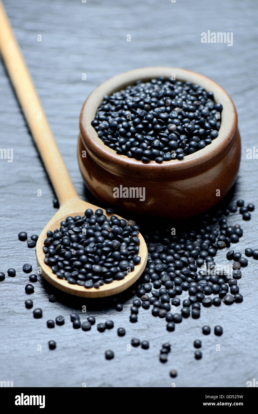 Dans Beluga-Linsen Kochloeffel Banque D'Images