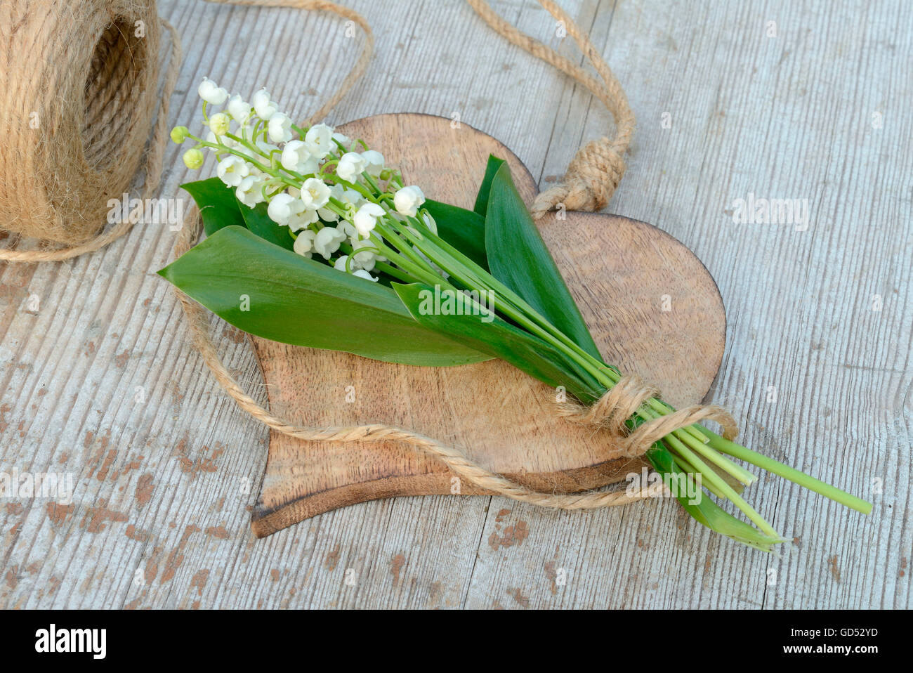 Le muguet, le coeur en bois / (Convallaria majalis) Banque D'Images