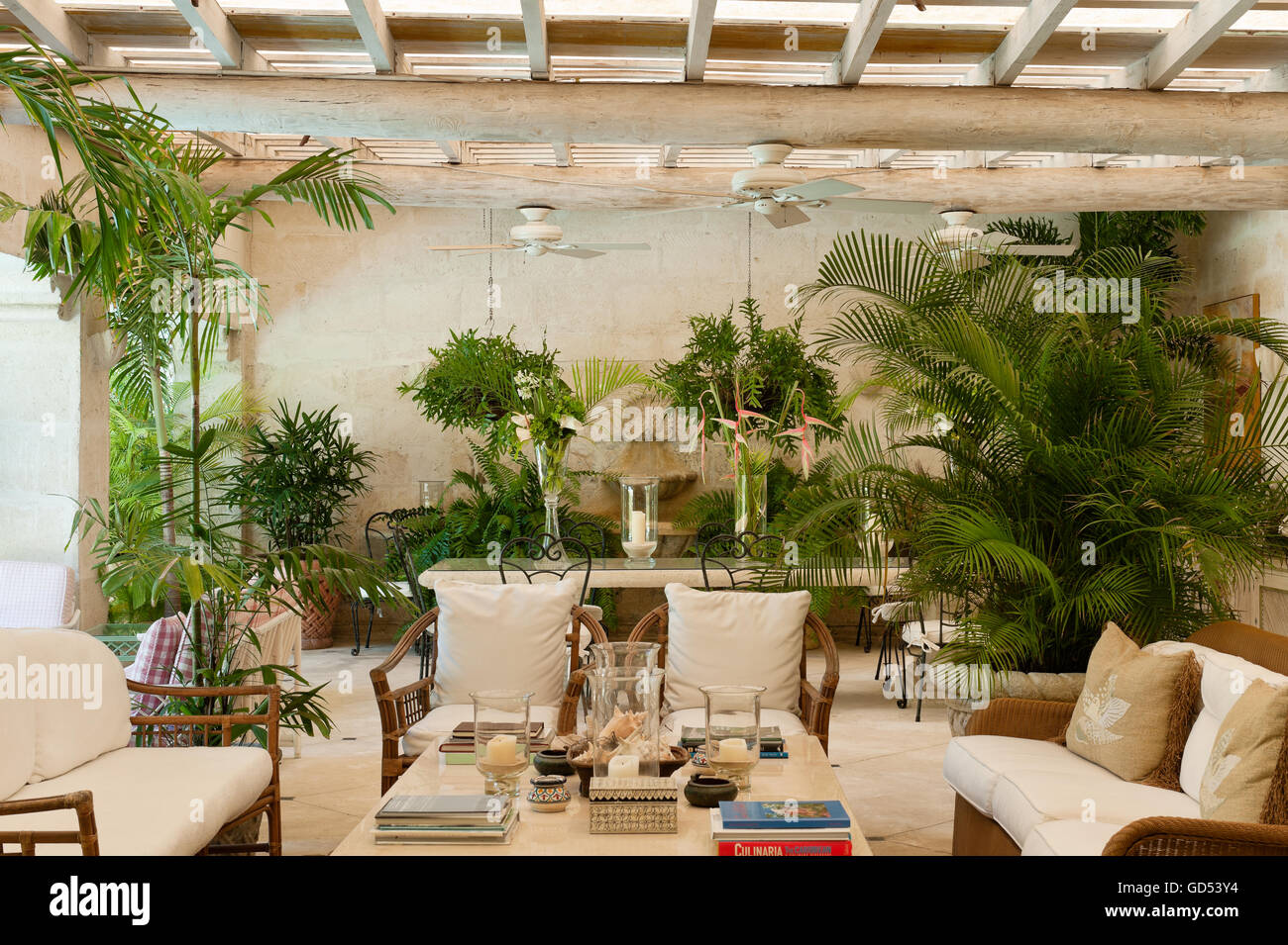 Les grandes fougères et des meubles en bambou dans la véranda de Leamington chambre villa coloniale, la Barbade Banque D'Images
