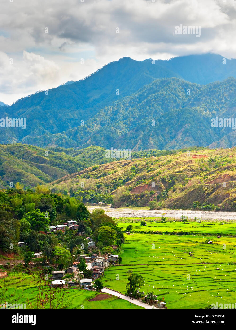 Village et champs de riz dans les montagnes de la Cordillère, Philippines Banque D'Images