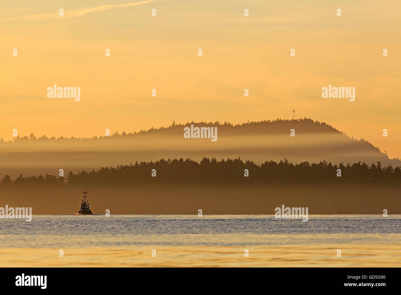 Dans le port de départ de remorqueur matin, Nanaimo, île de Vancouver, Colombie-Britannique Banque D'Images