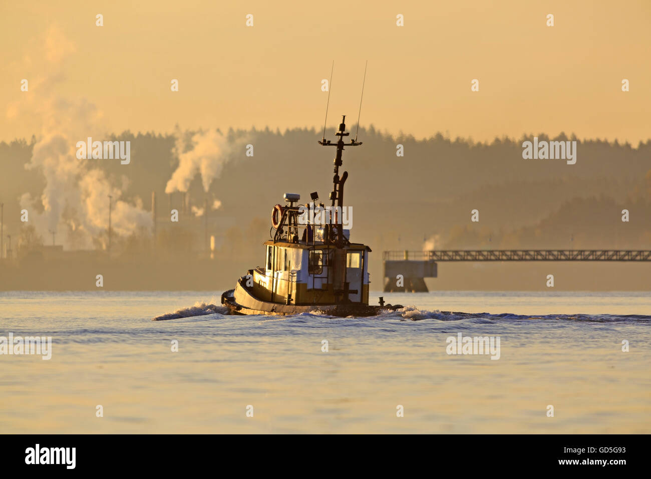 Dans le port de départ de remorqueur matin, Nanaimo, île de Vancouver, Colombie-Britannique Banque D'Images