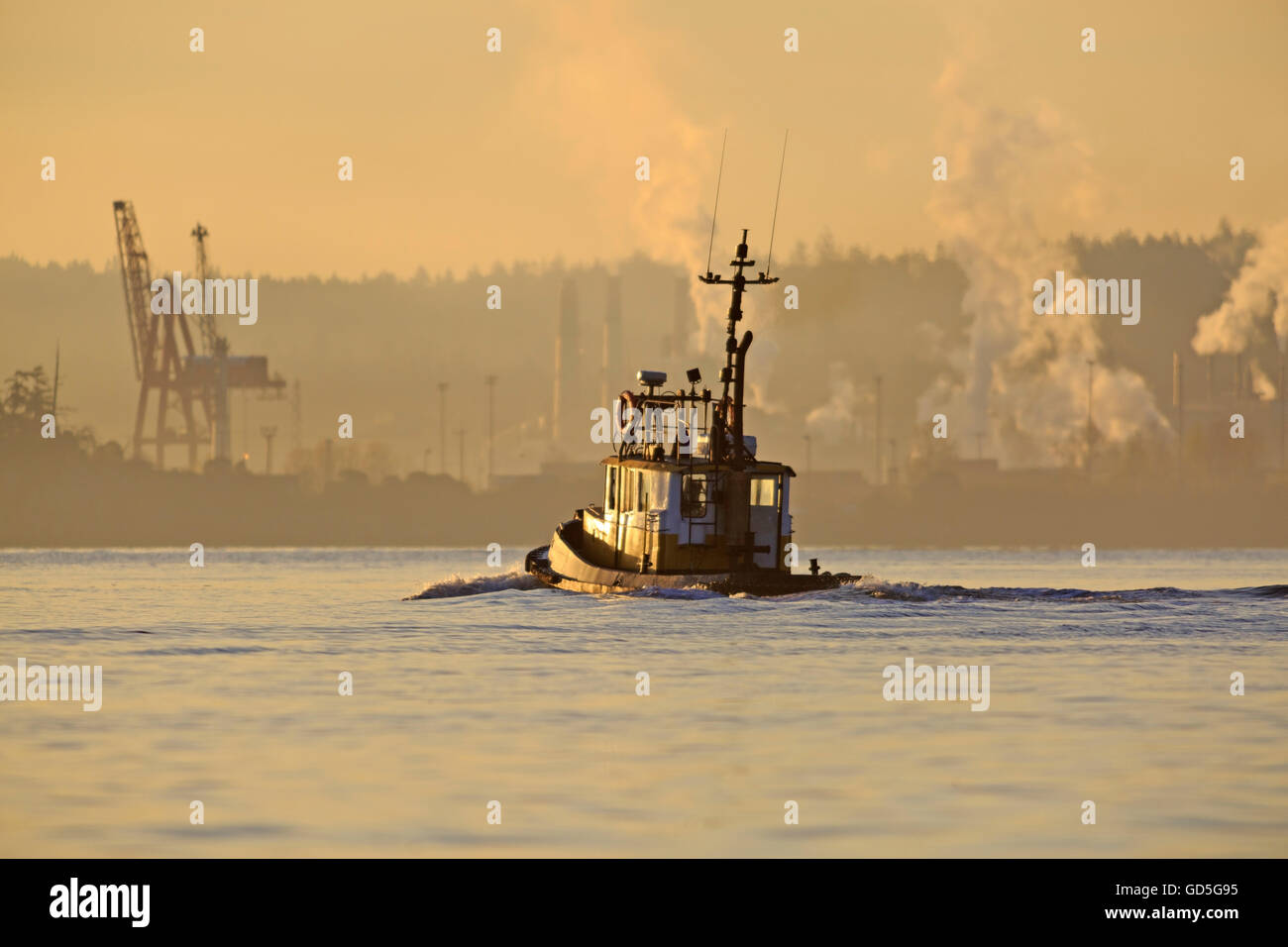Dans le port de départ de remorqueur matin, Nanaimo, île de Vancouver, Colombie-Britannique Banque D'Images
