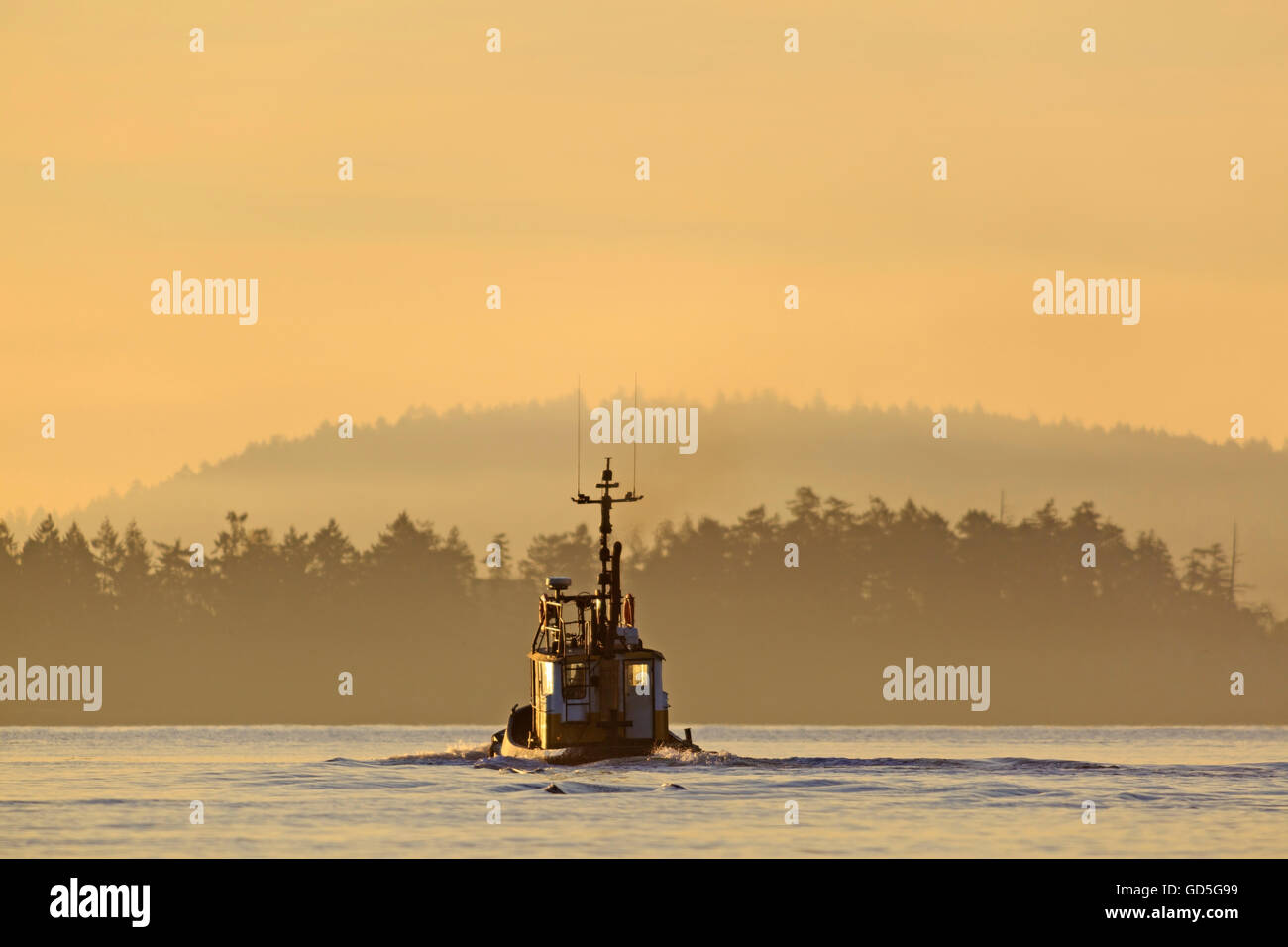 Dans le port de départ de remorqueur matin, Nanaimo, île de Vancouver, Colombie-Britannique Banque D'Images