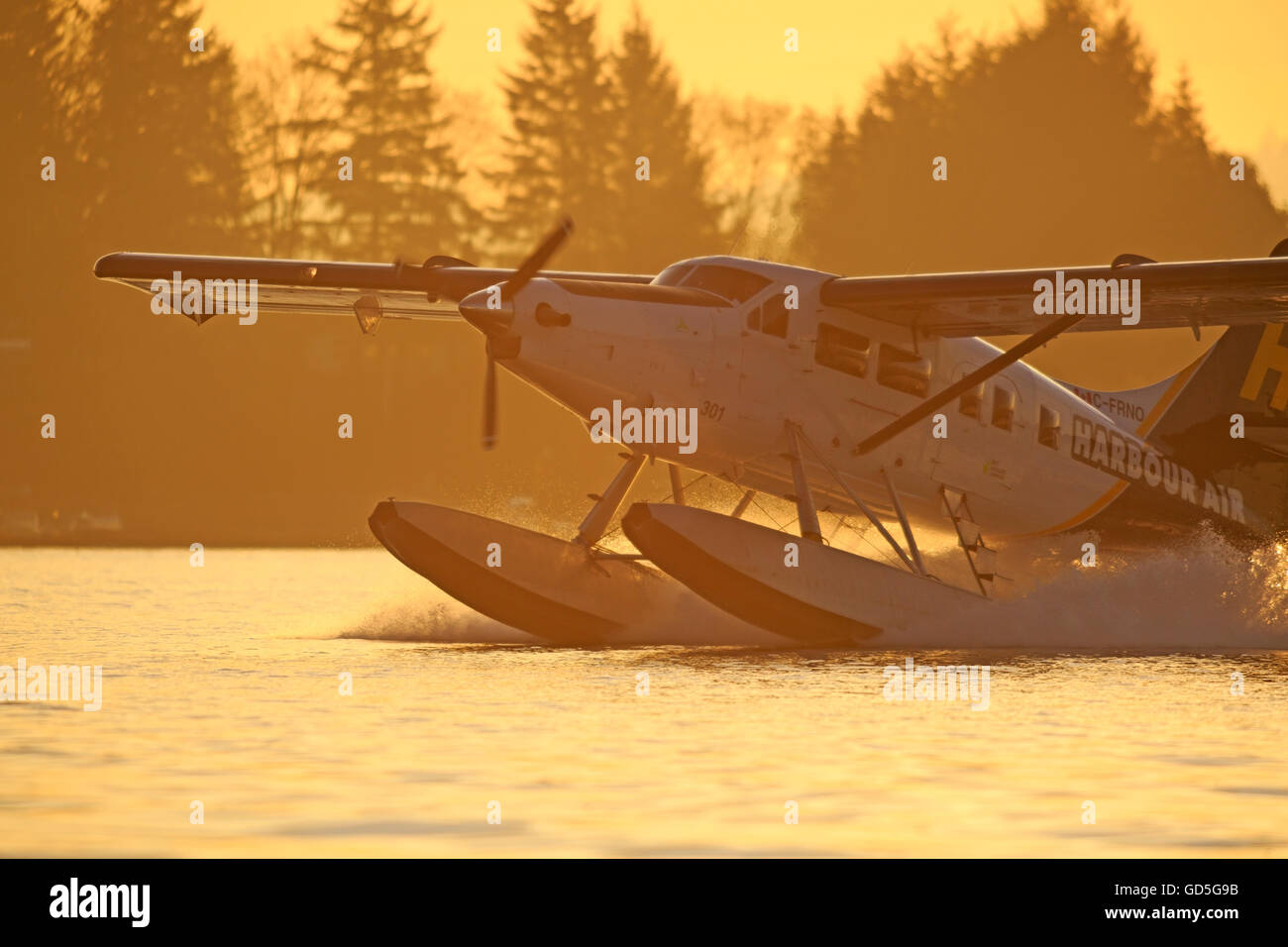 Éolienne Single Otter hydravion atterrissage dans le port de Nanaimo, Nanaimo, île de Vancouver, Colombie-Britannique Banque D'Images