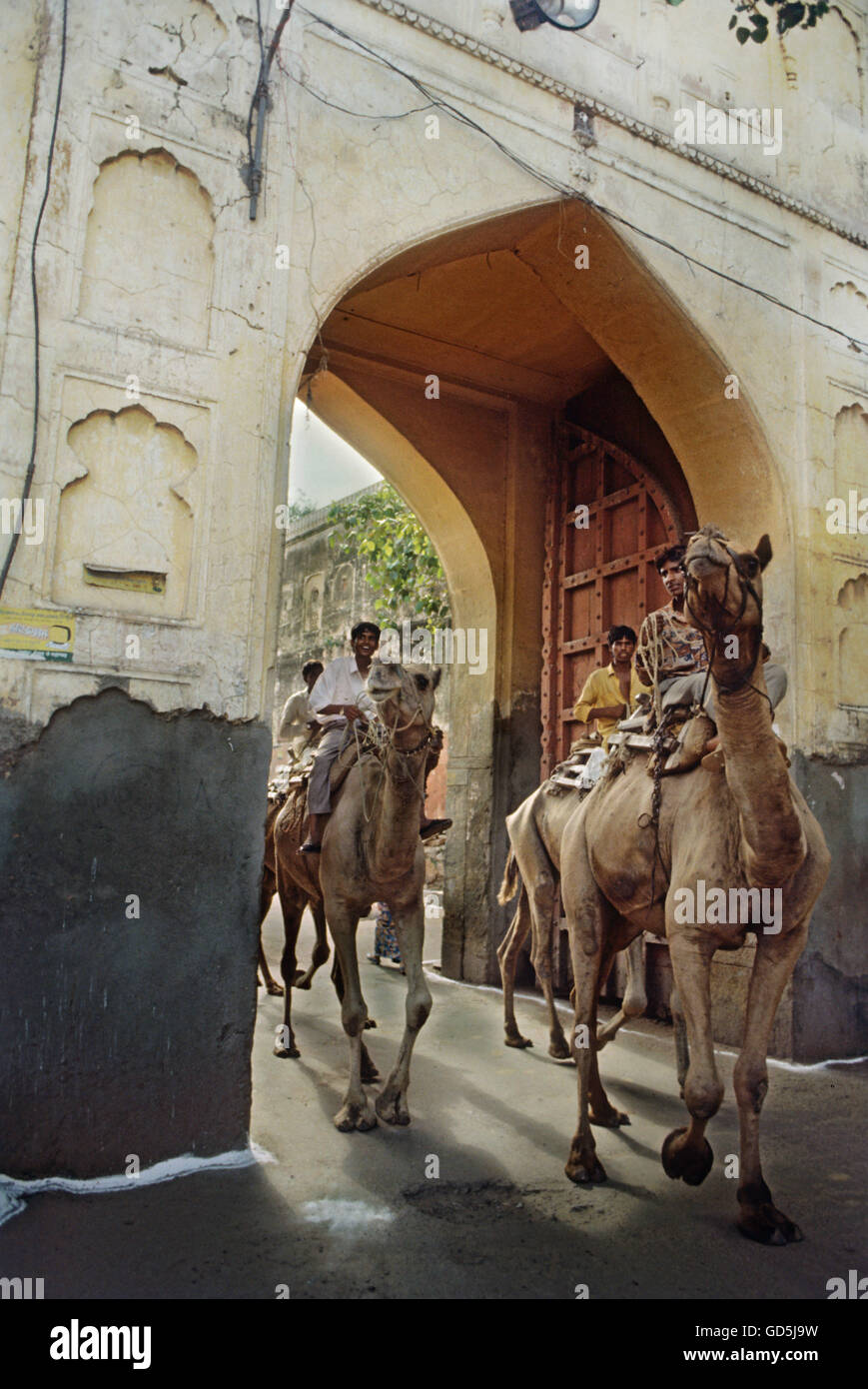 Ville rose Banque D'Images