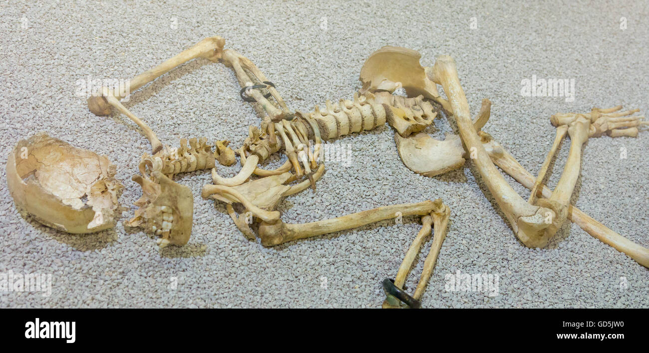 Vieux squelette d'un être humain Banque D'Images