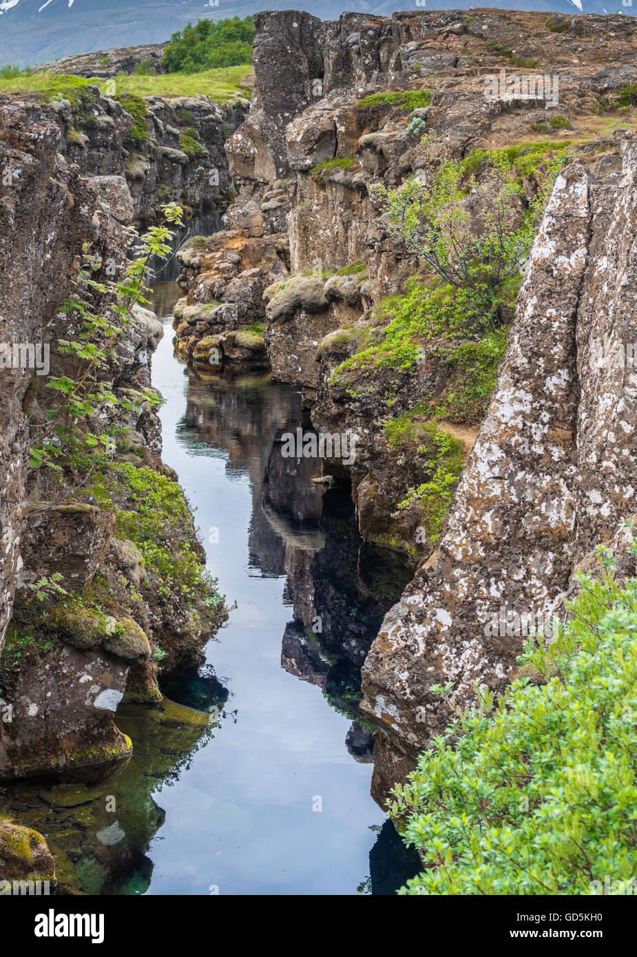 Mid Atlantic Ridge, Thingvellir (chose Champs), Parc National, l'Islande Banque D'Images
