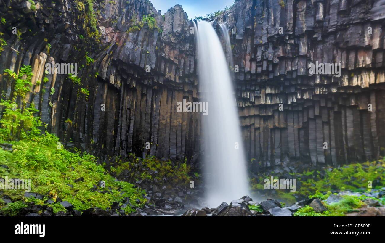 Svartifoss (noir), d'automne, le parc national de Skaftafell Vatnajökull. L'Islande Banque D'Images
