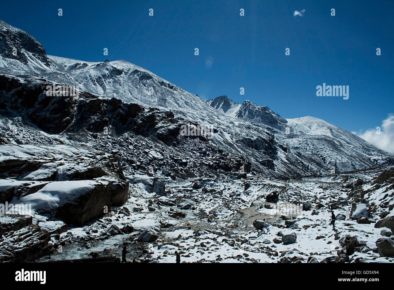 Vallée de Yumthang Banque D'Images