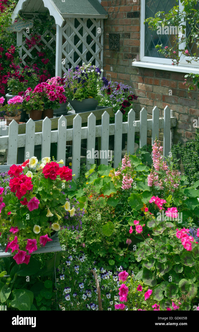 Chalet jardin avec la plantation de conteneurs et blanc portillon fence Banque D'Images