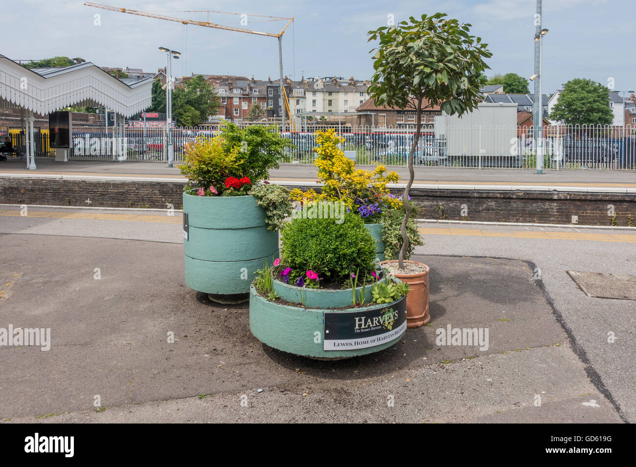 Fleurs Plantes La gare de Lewes Sussex England plate-forme Banque D'Images