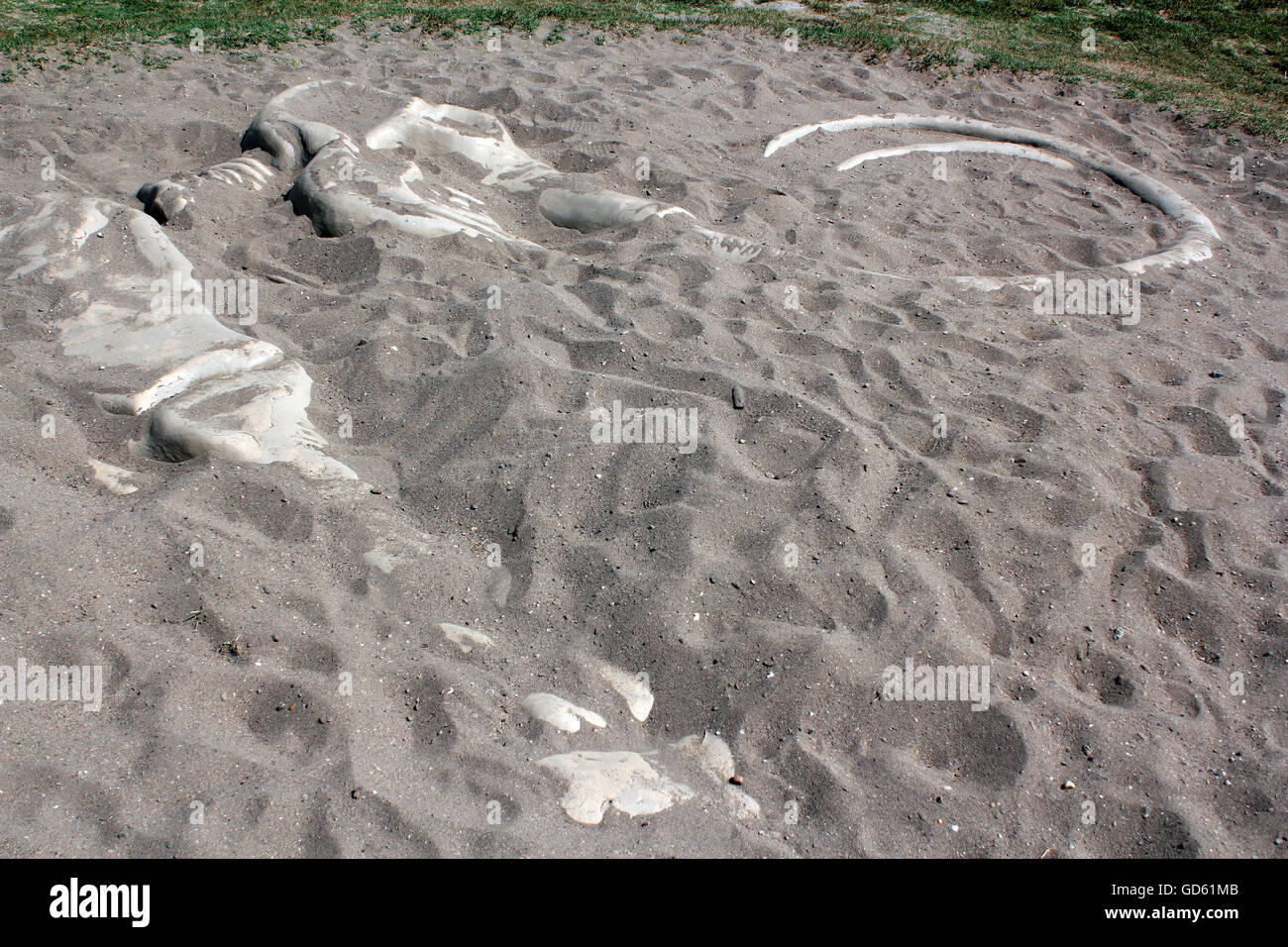 Les os de mammouth dans le sable Banque D'Images