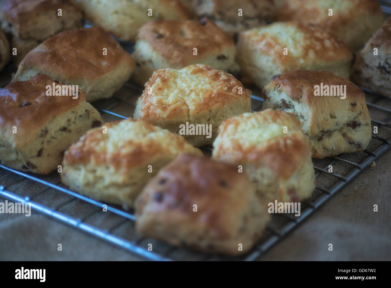 Des scones fraîchement cuits au four sur une grille de refroidissement Banque D'Images