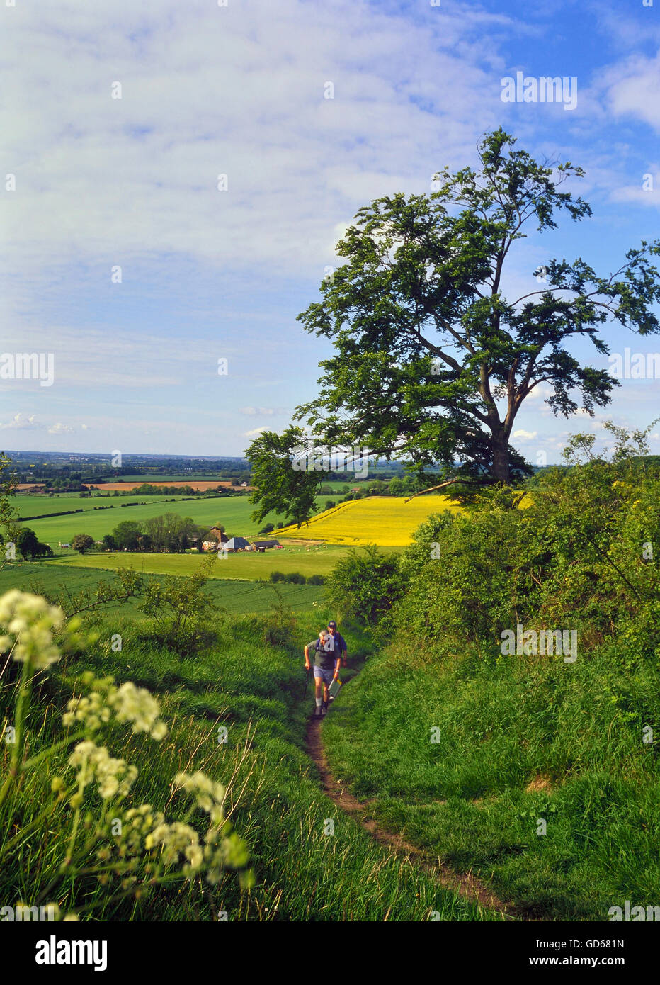 Marcheurs le long de la voie nord-bas.Kent.Angleterre.ROYAUME-UNI Banque D'Images