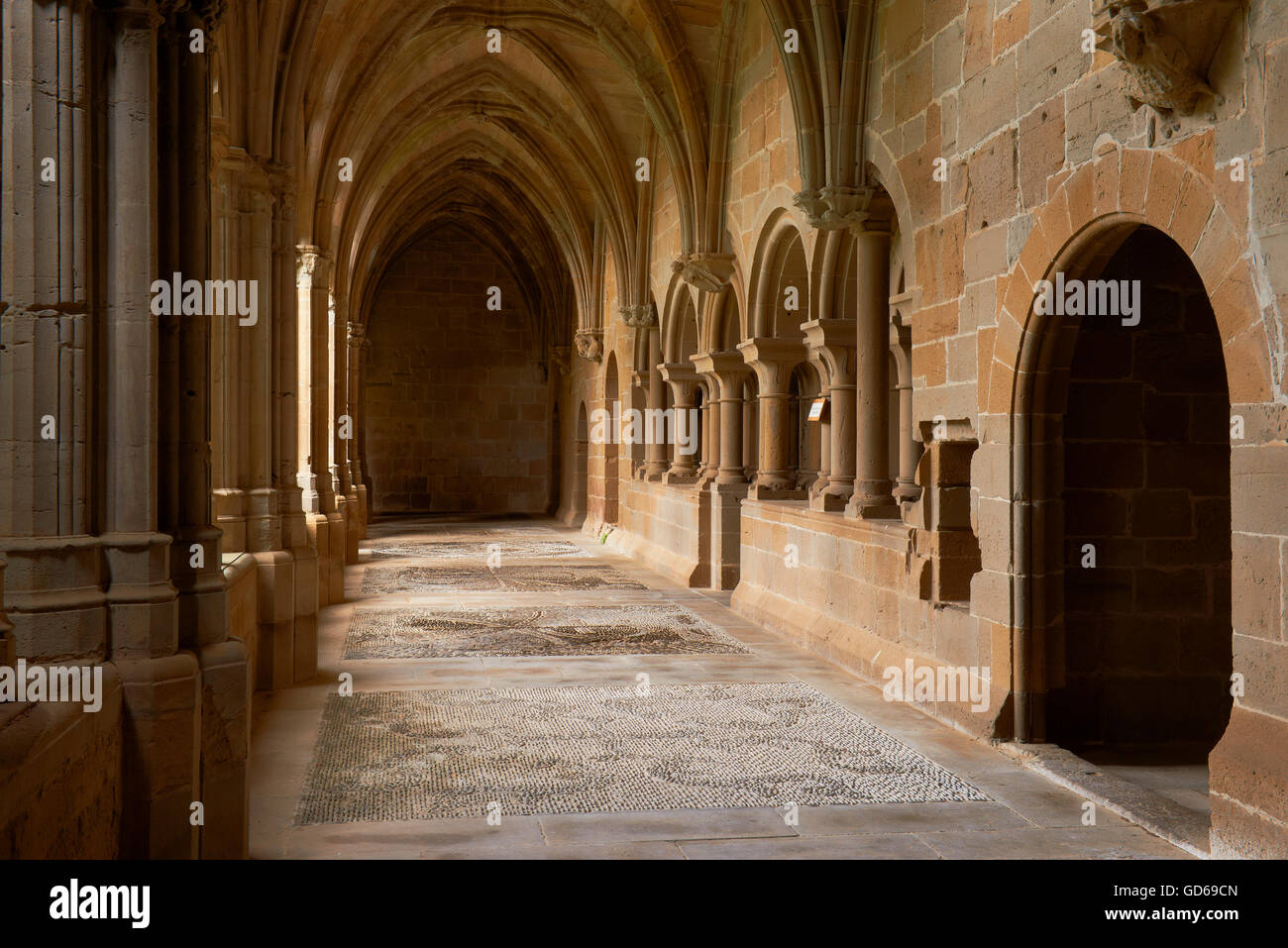 Santa Maria de la Oliva, monastère cistercien, Monastère de La Oliva, cloître, Carcastillo Navarre, Espagne, Banque D'Images