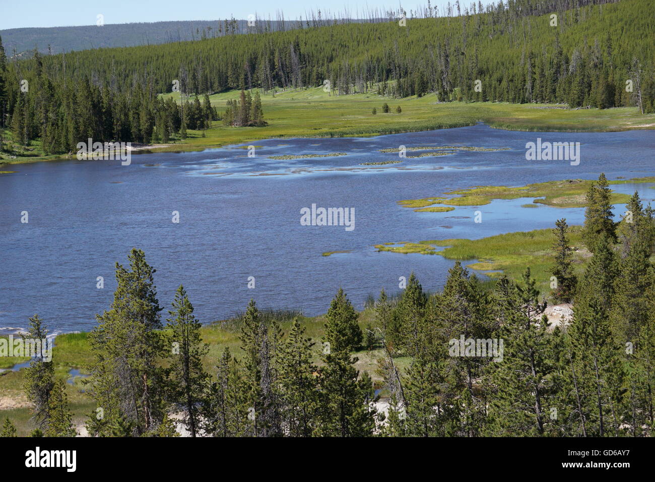 Lac de montagne avec des nénuphars jaunes, le Parc National de Yellowstone Banque D'Images
