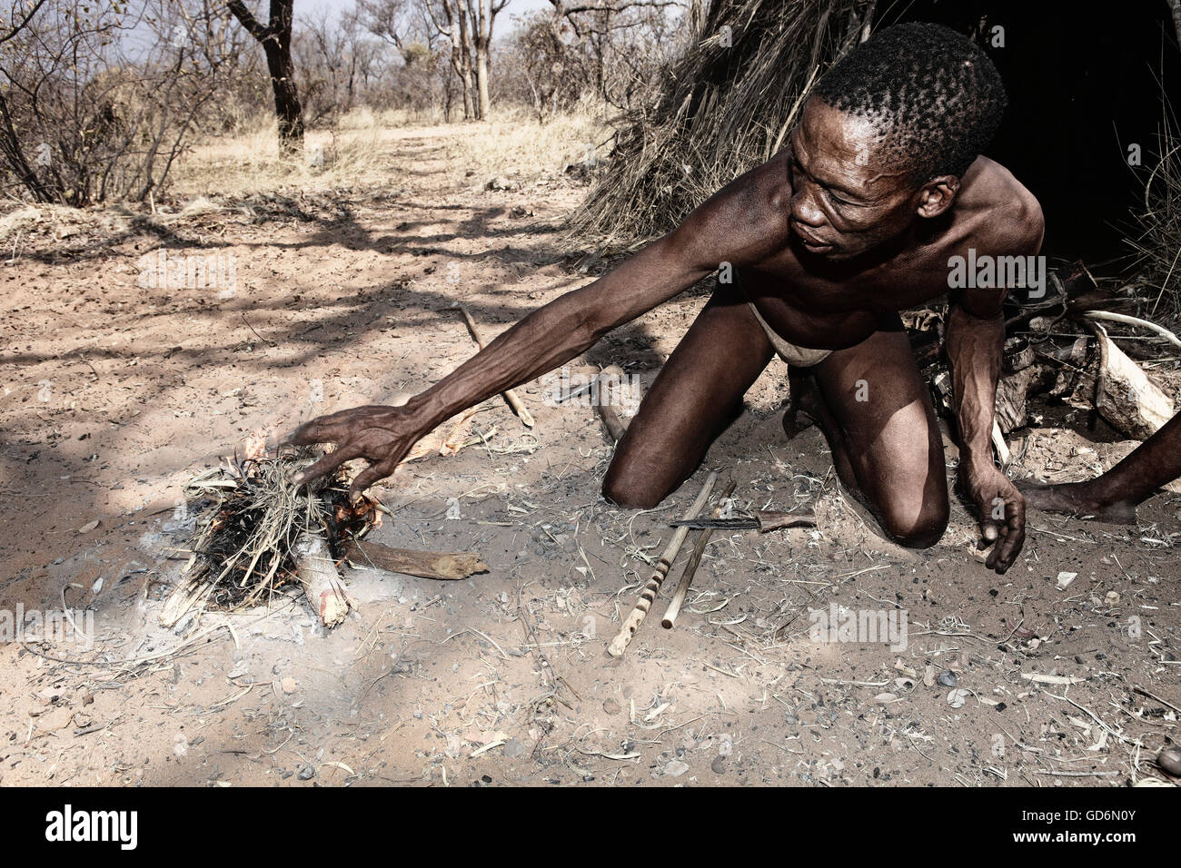 Bushman Naro (San) l'homme de faire un feu avec des bâtons, commiphera central kalahari, Botswana Banque D'Images