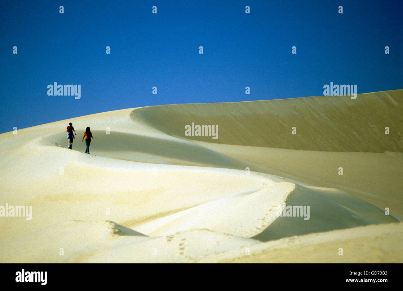 L'sanddunes près du village et oasis de Siwa dans le désert occidental de Libye ou d'egypte en Afrique du Nord Banque D'Images