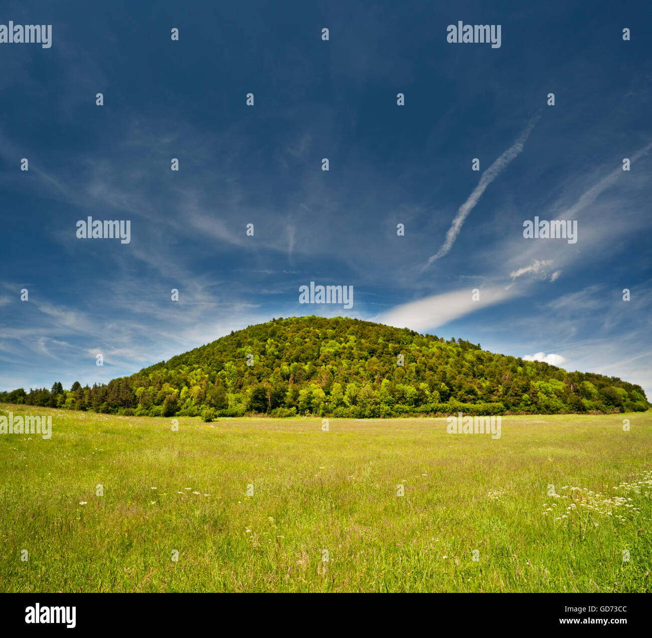 Pré de fleurs sauvages en face du Puy de Montchal, un cône volcanique dans la chaîne des Puys, Le Puy-de-Dôme, Auvergne, France Banque D'Images