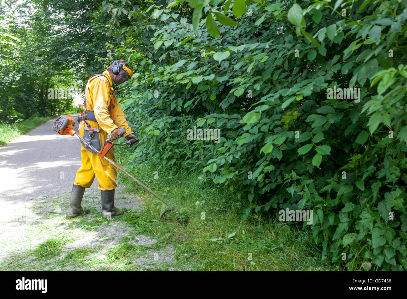 Entretien de la verdure urbaine parc et jardin, débroussailleuse République Tchèque coupe des buissons Banque D'Images