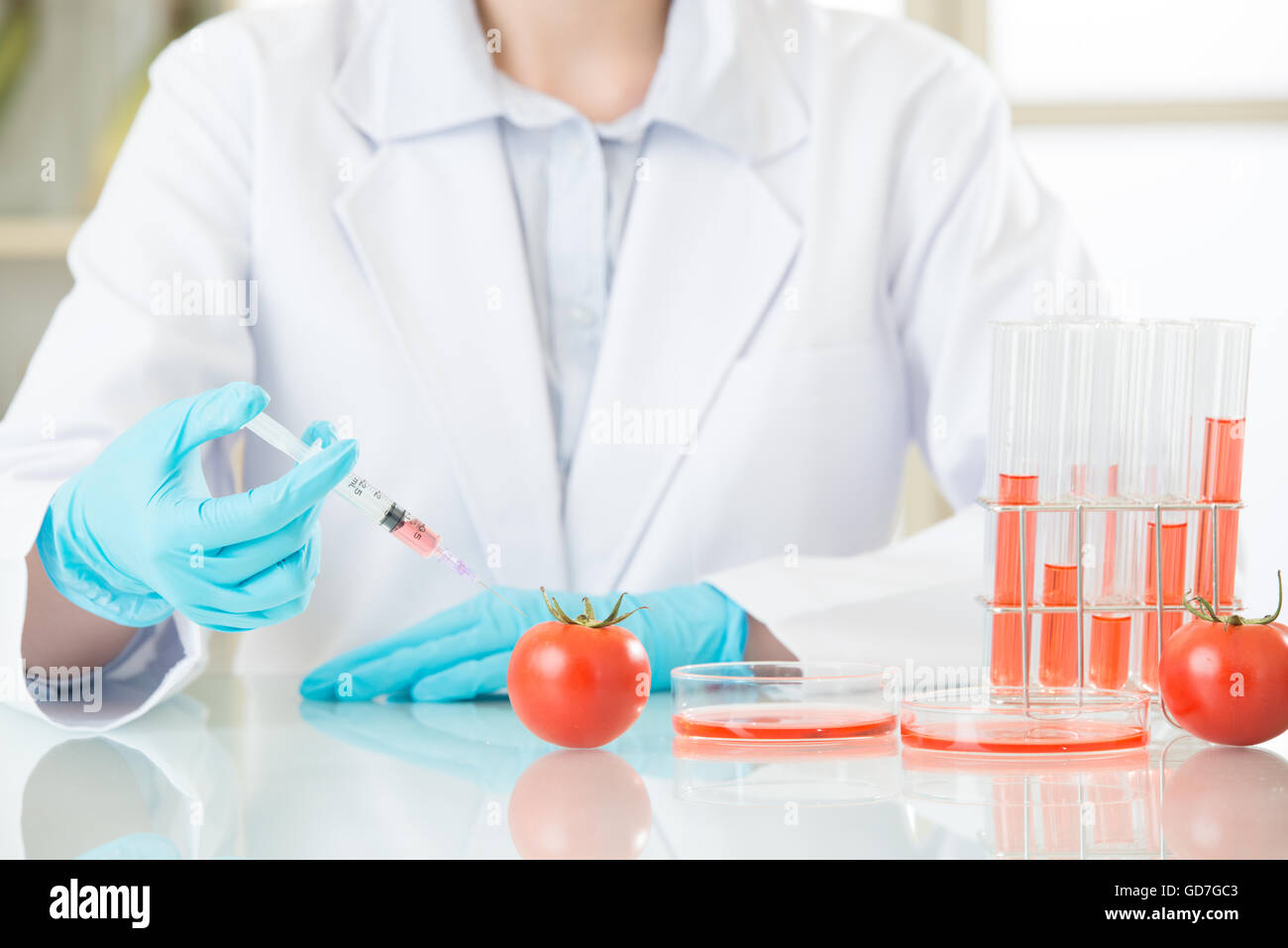 Female scientist à l'adn de tomate OGM pour la sécurité en laboratoire Banque D'Images