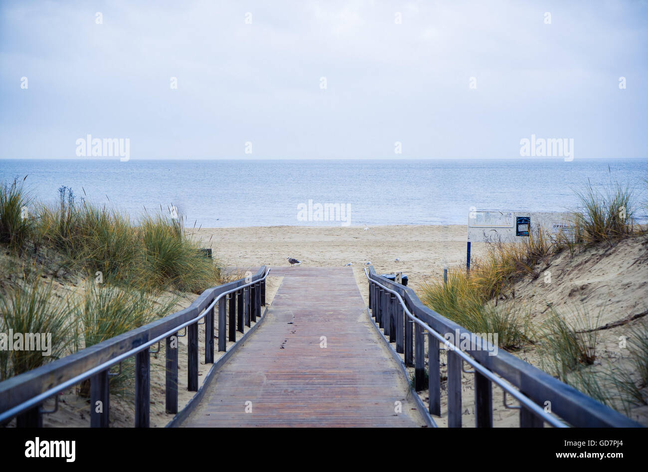 Rerik Steg chemin de plage et mer Banque D'Images